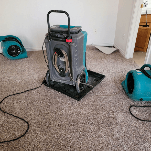 Water removal and drying equipment on a wet carpet